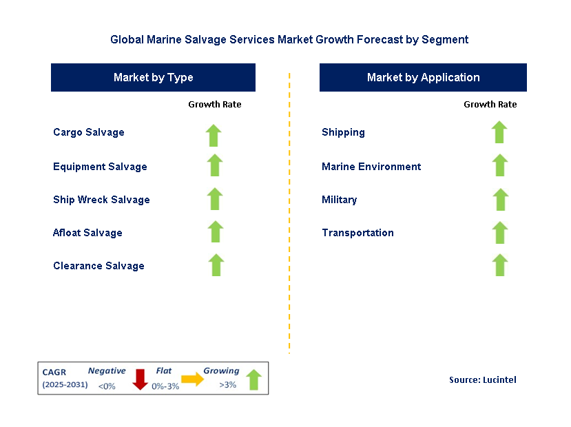 Marine Salvage Services Market by Segment